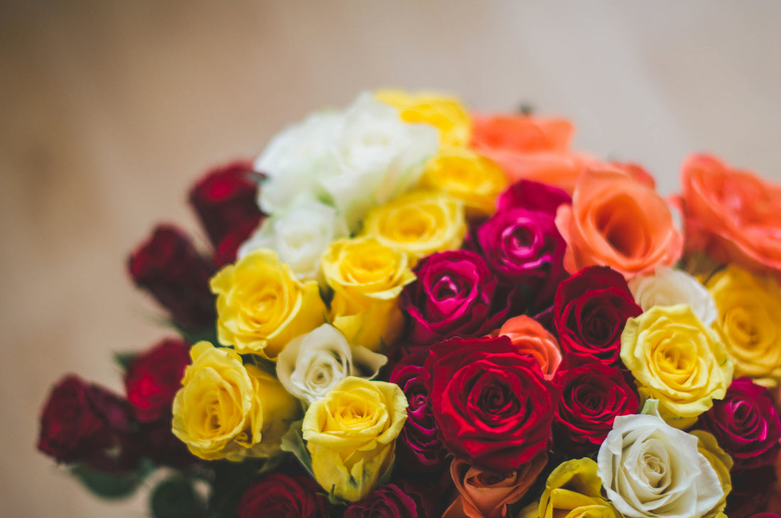 Best Deals for Wholesale Roses That Last a Year